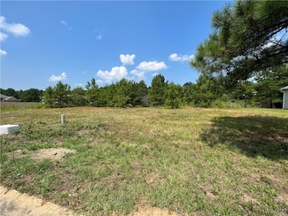 0101 Crimson Ridge Rd Lot 101, Brookwood, AL 35444