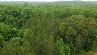 0 County Road 88, Waverly, AL 36879