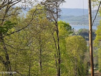 Boatmans Mountain Rd, Morristown, TN 37814