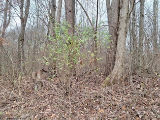 0 Jack Run Rd, Bridgeport, WV 26330