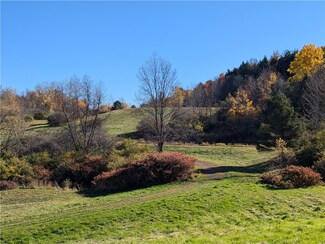 0 Dunshee Hill Rd Unit R1575907, Sidney, NY 13839