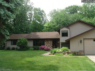 12920 S Partridge Dr, Cleveland, OH 44125