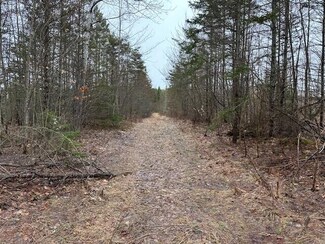 40 Ac M/L Pendills Lake Rd Unit 40 Ac M/L, Bay Mills Township, MI 49715