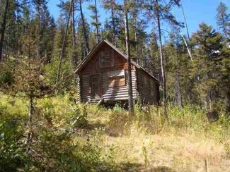 Lot E E Fork Cougar Creek Rd, Curlew, WA 98859