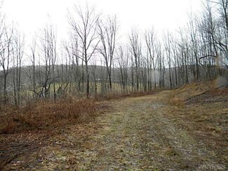 0 Five Mile & Ford Hollow Unit B448664, Humphrey, NY 14706