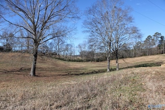 6.3 Acres Duck Springs Rd, Attalla, AL 35954