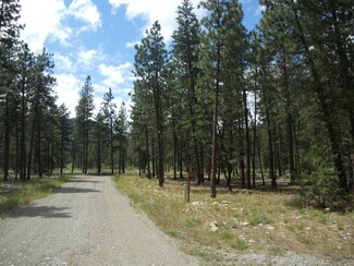 0 Last Chance Rd Unit 341933, Winthrop, WA 98862