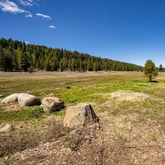 Lot 29 To Be Determined Unit 29, McCall, ID 83638