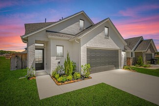 19253 Hazel Firs Ct, Magnolia, TX 77355