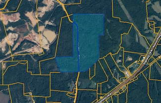 0 Joe Milam Rd, Buchanan, TN 38222