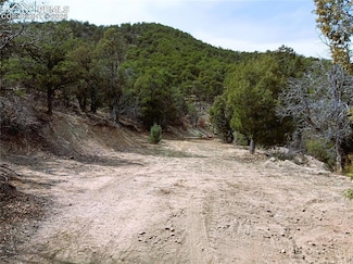 TR3 Mineshaft Place, Cotopaxi, CO 81223