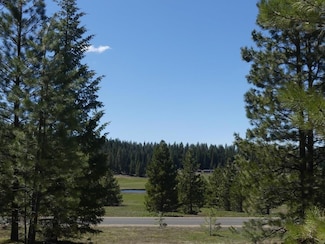 TBD Whitefield Unit 5, McCall, ID 83638