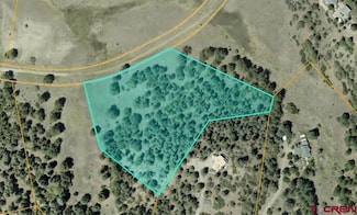 X Winterwood Place, Pagosa Springs, CO 81147