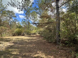 70+/- AC Lacey Ln, Crestview, FL 32536