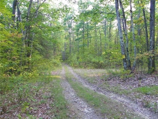 0 Hickory Hill Rd Unit R1641484, Bath, NY 14810