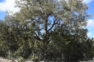979 & 987 Deer Valley Pass, Canyon Lake, TX 78070