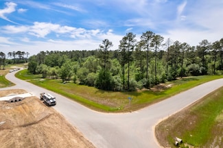 9546 Cedar Bend Ct, Plantersville, TX 77363