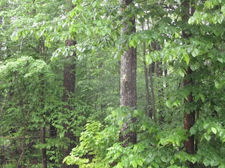 Lot 8 Northwood Estates, Sebago, ME 04029