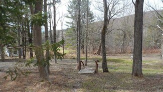 479 Winney Hill Rd, Oneonta, NY 13820