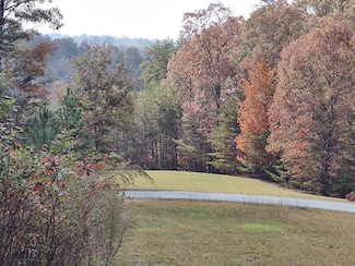 34/35 Wolf Creek Highlands, Mineral Bluff, GA 30559
