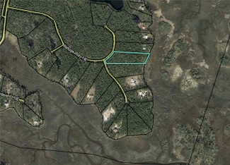 Lot 233 Refuge Way NE, Townsend, GA 31331