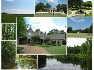 11200 Highway 142, Stantonville, TN 38379