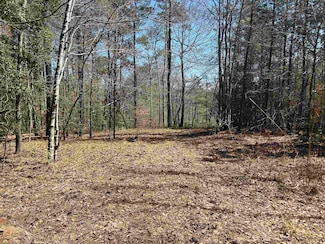 Lot 78 Shoreside Dr, Double Springs, AL 35553