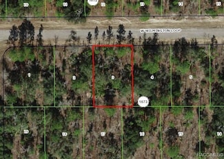 2172 W Wilmington Loop, Citrus Springs, FL 34434