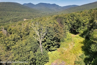 TBD MacDaniel Rd, Bearsville, NY 12409