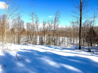 0 Stevens Corner Rd Unit 1482068, Newfield, ME 04056