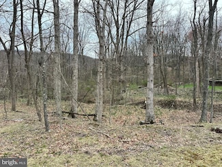 0 Timberlake Estates - Lot 24 Unit WVMI2003320, New Creek, WV 26743