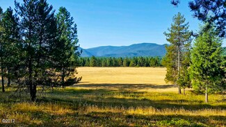 Blue Slide Rd, Trout Creek, MT 59874