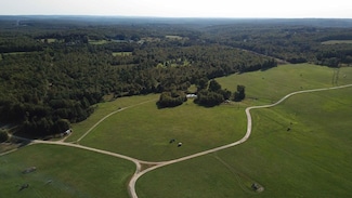 2529 Rasselas Rd, Wilcox, PA 15870