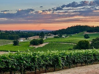 12551 Steiner Rd, Plymouth, CA 95669