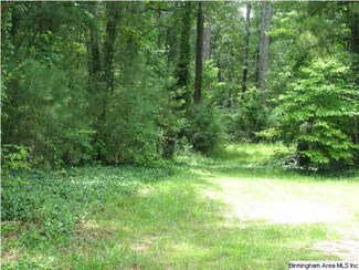 0 Rock Crusher Rd Unit 10 AC 568364, Steele, AL 35987