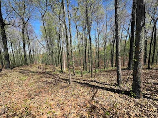 0 County Road 431, Pollard, AR 72456