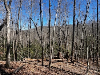 Lot 68 Cherrywood Ln, Pisgah Forest, NC 28768