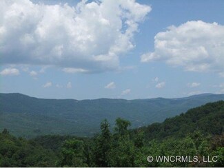 63 Game Lands Trail Unit 63, Saluda, NC 28773