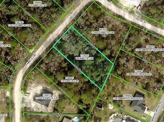 0 Pamela Cir Unit MFRW7872126, Weeki Wachee, FL 34614