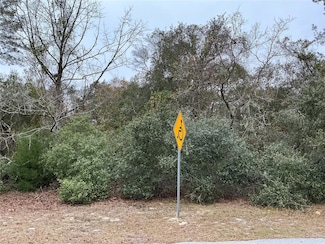 00 SW 137th Loop, Marion Oaks, FL 34473