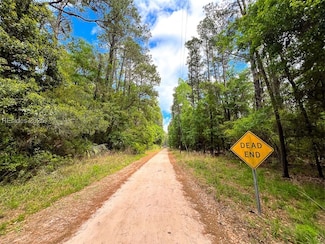 259 Old Haig Point Rd, Daufuskie Island, SC 29915