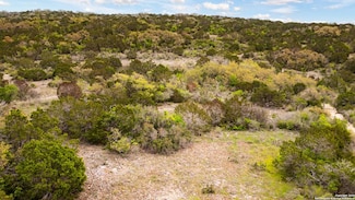 149 County Road 2809, Mico, TX 78056
