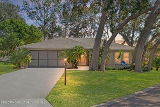 2350 Masters Ct, Spring Hill, FL 34606