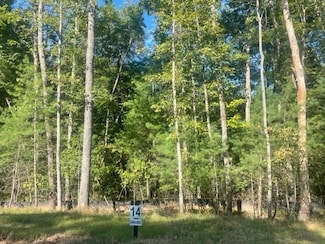 LOT 14 Clear Creek Preserve Way, Ellijay, GA 30536