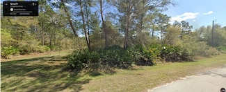 0 Spruce Dr, Georgetown Cove, FL 32139