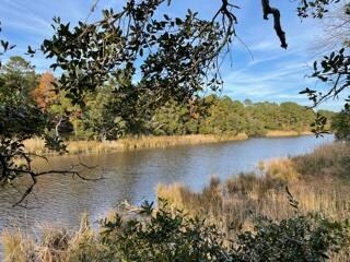 6034 Mossey Grove Ln, Awendaw, SC 29429