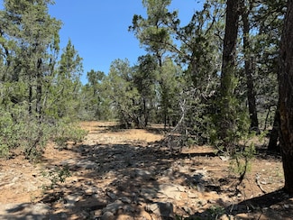 17 Camino Largo, Tijeras, NM 87059
