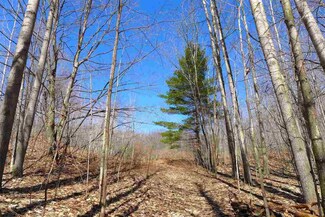 0000 Munro Lake Cir, Munro Township, MI 49755
