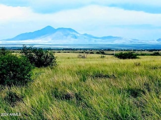 TBD S Deer Ridge Trail Unit 13, Hereford, AZ 85615