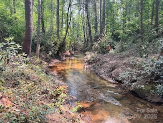 45 Stones Lake Rd, Cedar Mountain, NC 28718